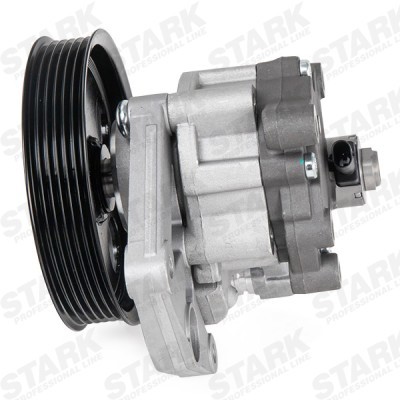 Hydraulic Pump, Steering System Stark SKHP-0540244 SKHP-0540244 - photo 5