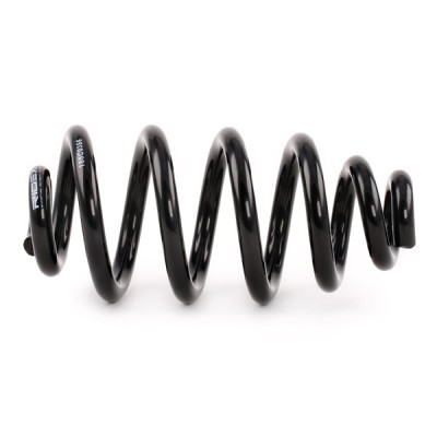 Suspension Spring RIDEX 188C0386 188C0386 - photo 4