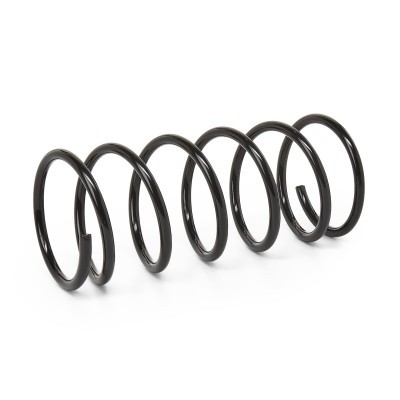 Suspension Spring RIDEX 188C0075 188C0075 - photo 4