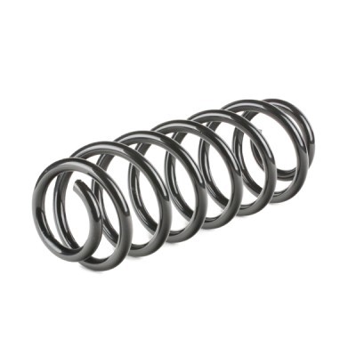 Suspension Spring RIDEX 188C0026 188C0026 - photo 3
