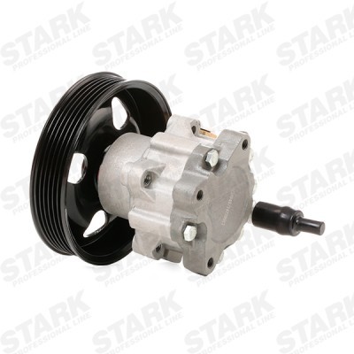 Hydraulic Pump, Steering System Stark SKHP-0540198 SKHP-0540198 - photo 4