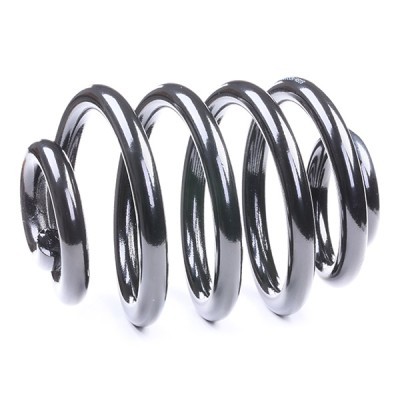 Suspension Spring RIDEX 188C0003 188C0003 - photo 3