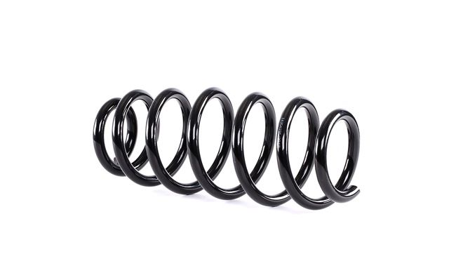 Suspension Spring RIDEX 188C0641 188C0641 - photo 1