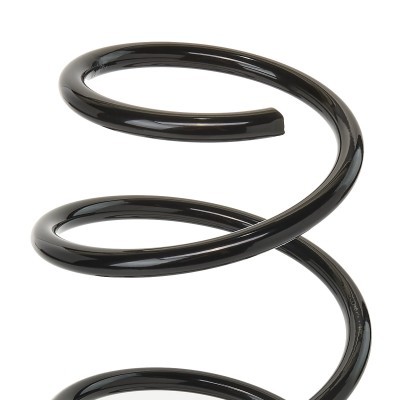 Suspension Spring RIDEX 188C0078 188C0078 - photo 3