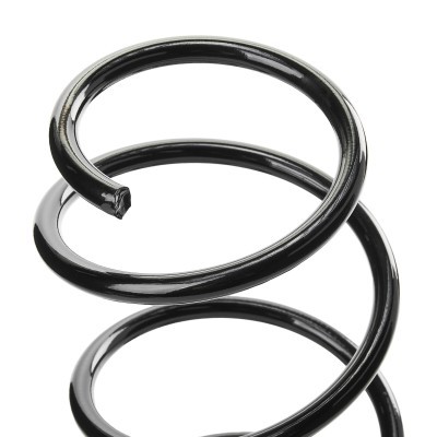 Suspension Spring RIDEX 188C1119 188C1119 - photo 4