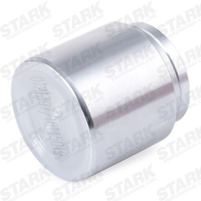 Piston, Brake Caliper Stark SKPBC-1660039 SKPBC-1660039 - photo 4