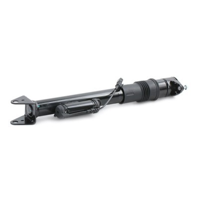 Shock Absorber RIDEX 854S1829 854S1829 - photo 4