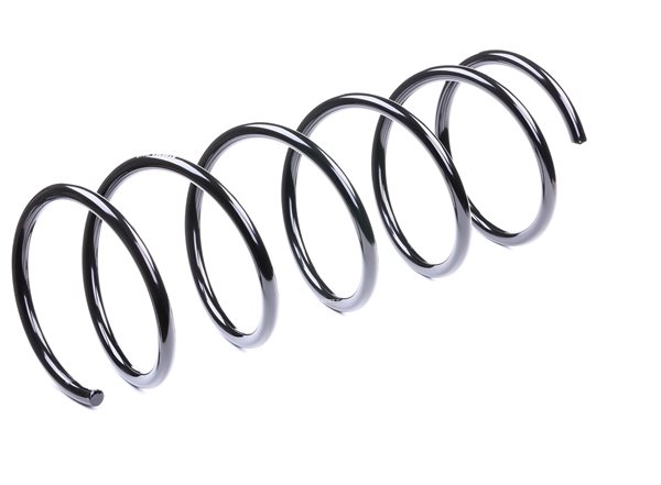 Suspension Spring RIDEX 188C0107 188C0107 - photo 1