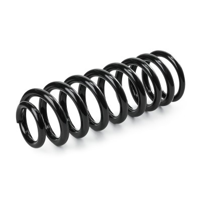Suspension Spring RIDEX 188C0716 188C0716 - photo 3
