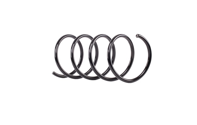 Suspension Spring RIDEX 188C0440 188C0440 - photo 1