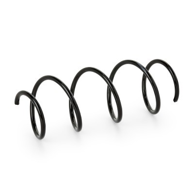 Suspension Spring RIDEX 188C0922 188C0922 - photo 2