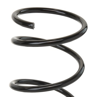 Suspension Spring RIDEX 188C0223 188C0223 - photo 3