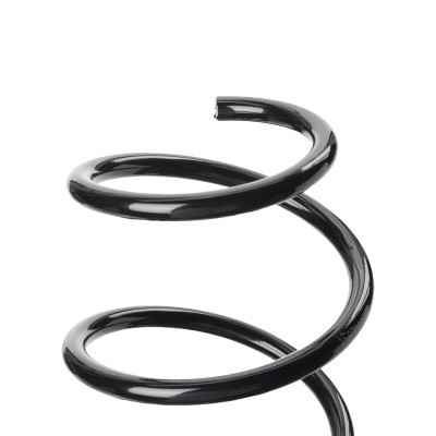 Suspension Spring RIDEX 188C0812 188C0812 - photo 3