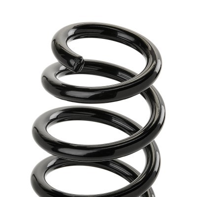 Suspension Spring RIDEX 188C0860 188C0860 - photo 3