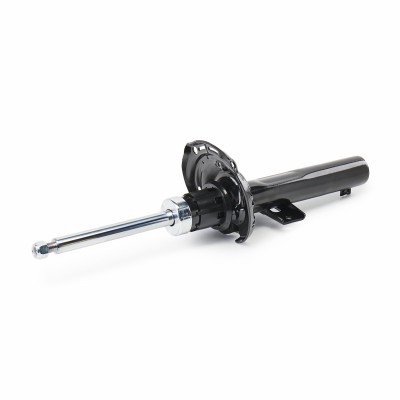 Shock Absorber RIDEX 854S17954 854S17954 - photo 4