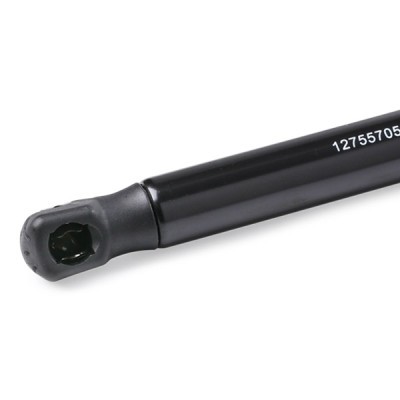Gas Spring, boot-/cargo area RIDEX 219G0925 219G0925 - photo 5