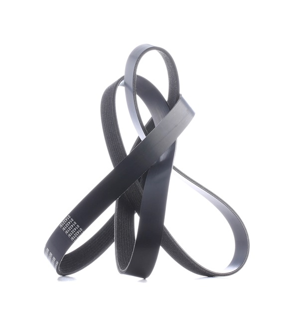 V-Ribbed Belt Stark SKPB-0090173 SKPB-0090173 - photo 1