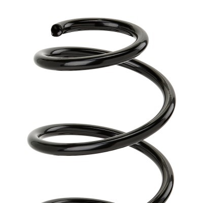 Suspension Spring RIDEX 188C0066 188C0066 - photo 8