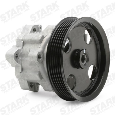 Hydraulic Pump, Steering System Stark SKHP-0540079 SKHP-0540079 - photo 6