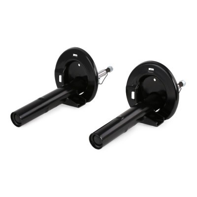 Shock Absorber RIDEX 854S1551 854S1551 - photo 5