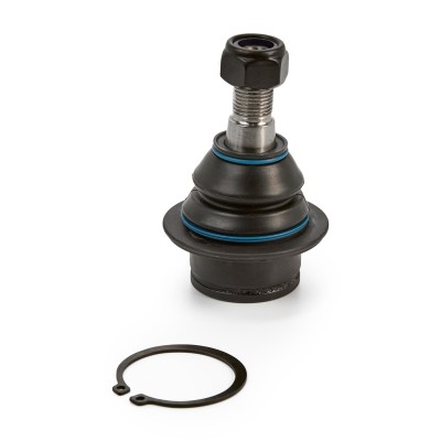 Ball Joint RIDEX 2462S0063 2462S0063 - photo 8