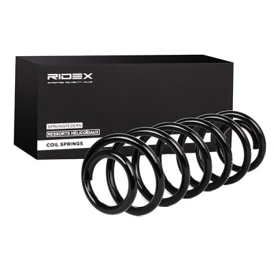 Suspension Spring RIDEX 188C0317 188C0317 - photo 2