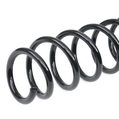 Suspension Spring RIDEX 188C0904 188C0904 - photo 4