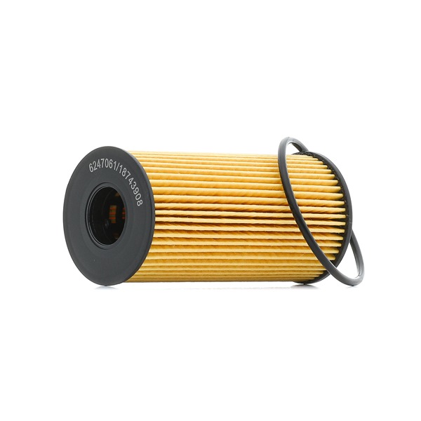 Oil Filter RIDEX 7O0024P 7O0024P - photo 1
