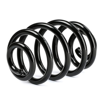 Suspension Spring RIDEX 188C0429 188C0429 - photo 4