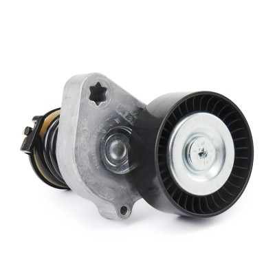 Belt Tensioner V-Ribbed Belt RIDEX 541V0033 541V0033 - photo 8