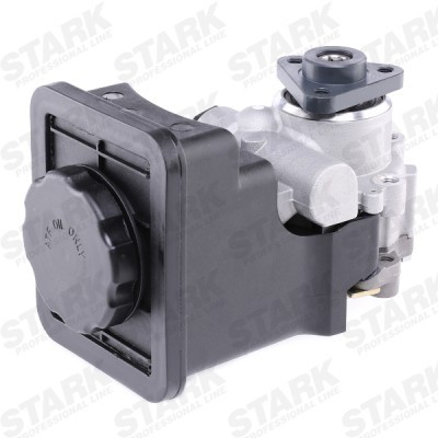Hydraulic Pump, Steering System Stark SKHP-0540176 SKHP-0540176 - photo 4