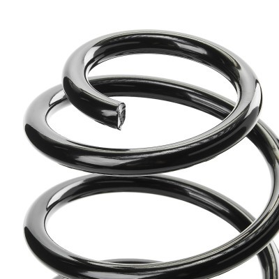 Suspension Spring RIDEX 188C0976 188C0976 - photo 4