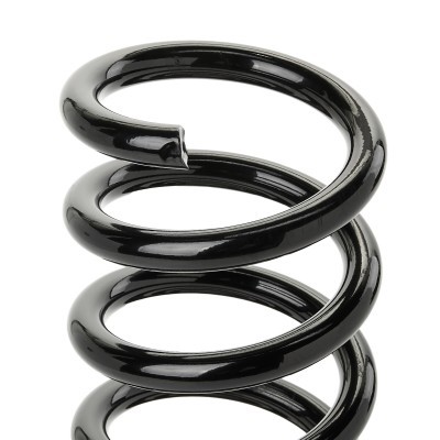 Suspension Spring RIDEX 188C1817 188C1817 - photo 3