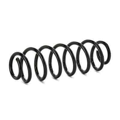 Suspension Spring RIDEX 188C1450 188C1450 - photo 2