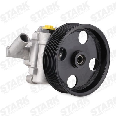 Hydraulic Pump, Steering System Stark SKHP-0540154 SKHP-0540154 - photo 3