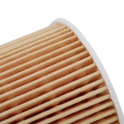 Oil Filter RIDEX 7O0125 7O0125 - photo 5