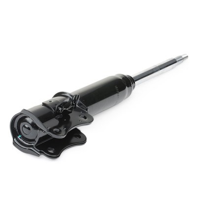 Shock Absorber RIDEX 854S0757 854S0757 - photo 5