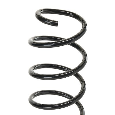 Suspension Spring RIDEX 188C0319 188C0319 - photo 4