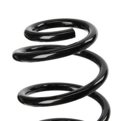Suspension Spring RIDEX 188C0889 188C0889 - photo 3