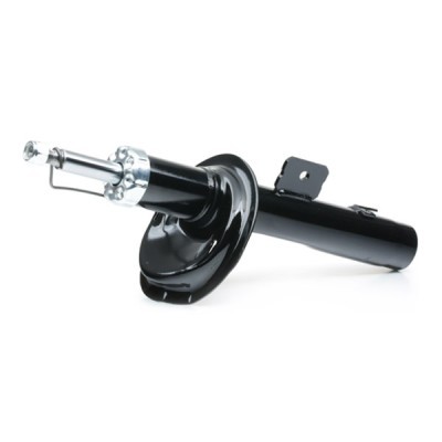 Shock Absorber RIDEX 854S0700 854S0700 - photo 4