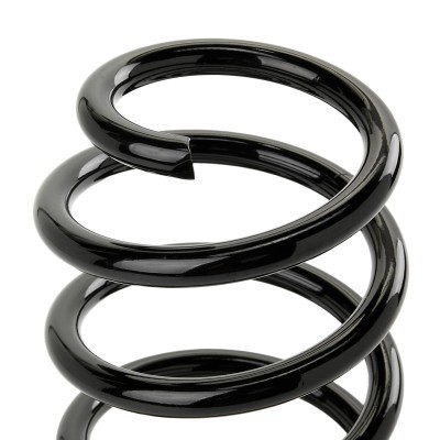 Suspension Spring RIDEX 188C1717 188C1717 - photo 3