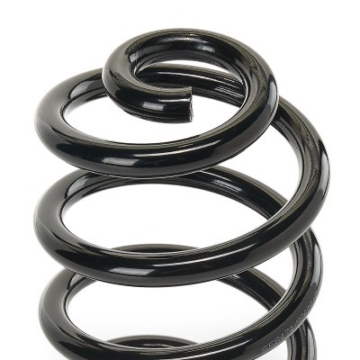 Suspension Spring RIDEX 188C0118 188C0118 - photo 4