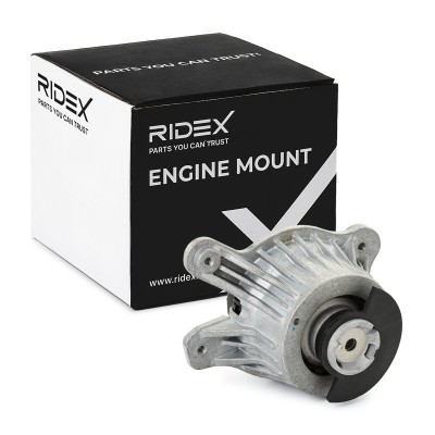 Engine Mounting RIDEX 247E0778 247E0778 - photo 2