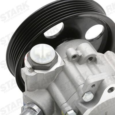 Hydraulic Pump, Steering System Stark SKHP-0540079 SKHP-0540079 - photo 7