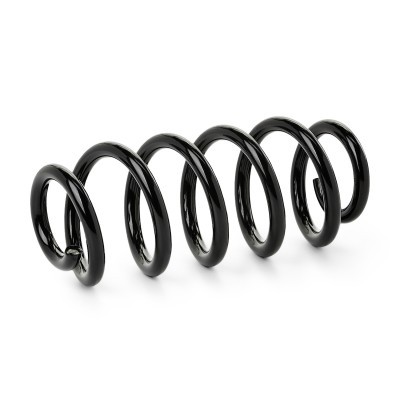 Suspension Spring RIDEX 188C1074 188C1074 - photo 2