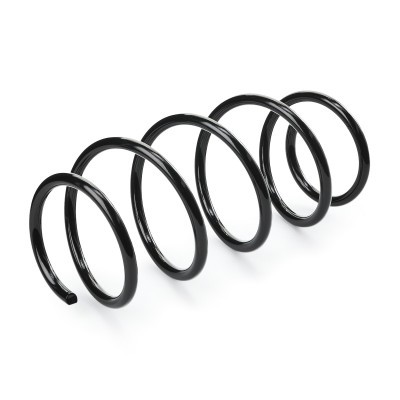 Suspension Spring RIDEX 188C0767 188C0767 - photo 3