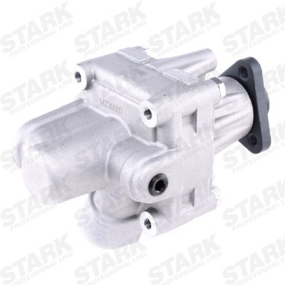 Hydraulic Pump, Steering System Stark SKHP-0540204 SKHP-0540204 - photo 7