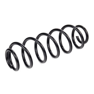 Suspension Spring RIDEX 188C0009 188C0009 - photo 3