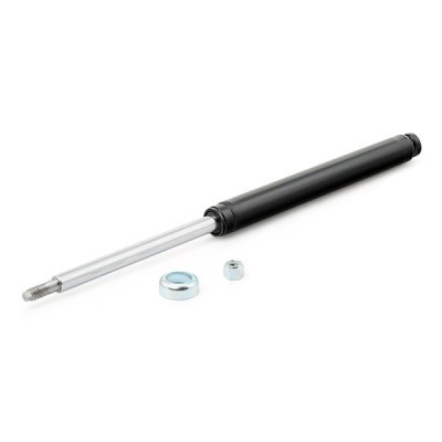 Shock Absorber RIDEX 854S1197 854S1197 - photo 4