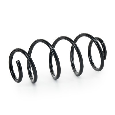 Suspension Spring RIDEX 188C1207 188C1207 - photo 2